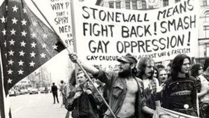 stonewall means fight back